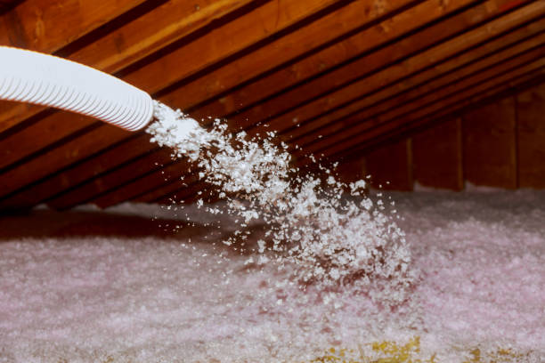 Best Residential Insulation Services  in Roanoke, TX